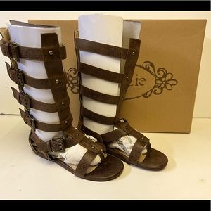 JAYLA Joyfolie gladiator sandals size 13